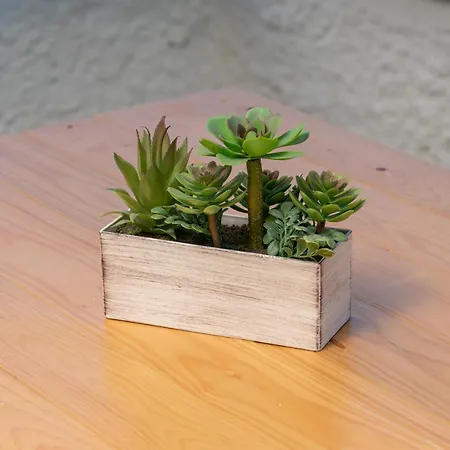 Apartment Minas
